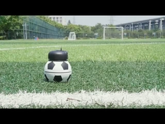 Papeleria de silicone